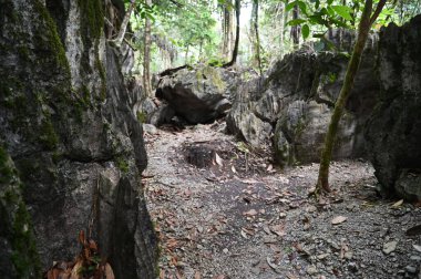 Bau, Malezya - 10 Haziran 2024: Borneo Sarawak Malezya 'nın Paku Rock Maze Bahçesi