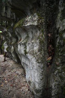 Bau, Malezya - 10 Haziran 2024: Borneo Sarawak Malezya 'nın Paku Rock Maze Bahçesi