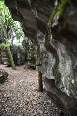 Bau, Malezya - 10 Haziran 2024: Borneo Sarawak Malezya 'nın Paku Rock Maze Bahçesi