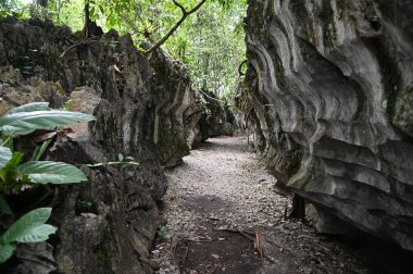 Bau, Malezya - 10 Haziran 2024: Borneo Sarawak Malezya 'nın Paku Rock Maze Bahçesi