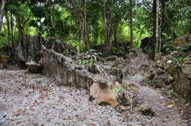 Bau, Malezya - 10 Haziran 2024: Borneo Sarawak Malezya 'nın Paku Rock Maze Bahçesi