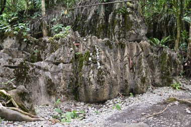 Bau, Malezya - 10 Haziran 2024: Borneo Sarawak Malezya 'nın Paku Rock Maze Bahçesi