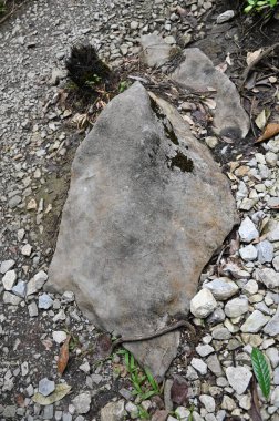 Bau, Malezya - 10 Haziran 2024: Borneo Sarawak Malezya 'nın Paku Rock Maze Bahçesi