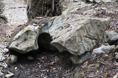 Bau, Malezya - 10 Haziran 2024: Borneo Sarawak Malezya 'nın Paku Rock Maze Bahçesi