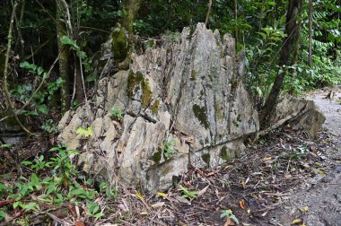 Bau, Malezya - 10 Haziran 2024: Borneo Sarawak Malezya 'nın Paku Rock Maze Bahçesi