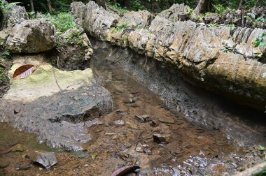 Bau, Malezya - 10 Haziran 2024: Borneo Sarawak Malezya 'nın Paku Rock Maze Bahçesi