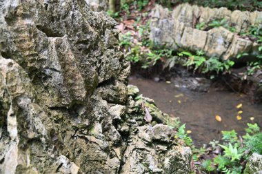 Bau, Malezya - 10 Haziran 2024: Borneo Sarawak Malezya 'nın Paku Rock Maze Bahçesi