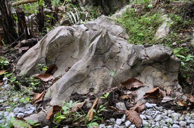 Bau, Malezya - 10 Haziran 2024: Borneo Sarawak Malezya 'nın Paku Rock Maze Bahçesi