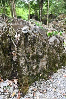 Bau, Malezya - 10 Haziran 2024: Borneo Sarawak Malezya 'nın Paku Rock Maze Bahçesi