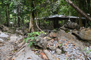 Bau, Malezya - 10 Haziran 2024: Borneo Sarawak Malezya 'nın Paku Rock Maze Bahçesi