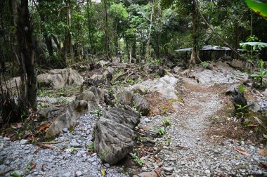 Bau, Malezya - 10 Haziran 2024: Borneo Sarawak Malezya 'nın Paku Rock Maze Bahçesi