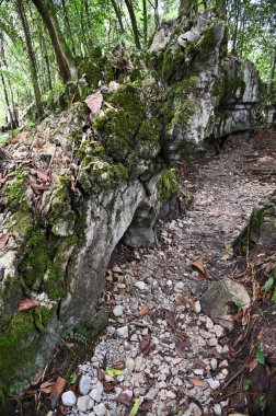 Bau, Malezya - 10 Haziran 2024: Borneo Sarawak Malezya 'nın Paku Rock Maze Bahçesi