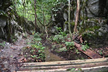 Bau, Malezya - 10 Haziran 2024: Borneo Sarawak Malezya 'nın Paku Rock Maze Bahçesi