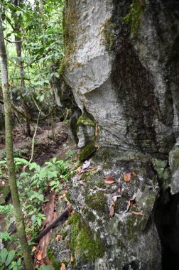 Bau, Malezya - 10 Haziran 2024: Borneo Sarawak Malezya 'nın Paku Rock Maze Bahçesi