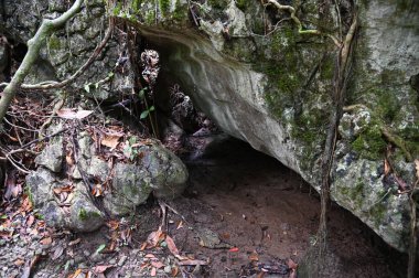 Bau, Malezya - 10 Haziran 2024: Borneo Sarawak Malezya 'nın Paku Rock Maze Bahçesi