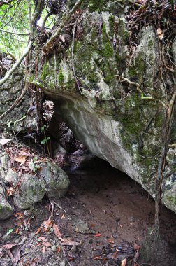 Bau, Malezya - 10 Haziran 2024: Borneo Sarawak Malezya 'nın Paku Rock Maze Bahçesi