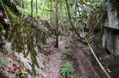 Bau, Malezya - 10 Haziran 2024: Borneo Sarawak Malezya 'nın Paku Rock Maze Bahçesi