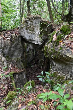 Bau, Malezya - 10 Haziran 2024: Borneo Sarawak Malezya 'nın Paku Rock Maze Bahçesi