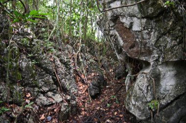 Bau, Malezya - 10 Haziran 2024: Borneo Sarawak Malezya 'nın Paku Rock Maze Bahçesi