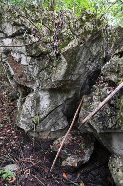 Bau, Malezya - 10 Haziran 2024: Borneo Sarawak Malezya 'nın Paku Rock Maze Bahçesi