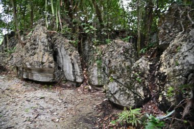 Bau, Malezya - 10 Haziran 2024: Borneo Sarawak Malezya 'nın Paku Rock Maze Bahçesi
