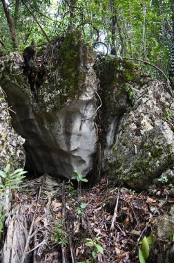 Bau, Malezya - 10 Haziran 2024: Borneo Sarawak Malezya 'nın Paku Rock Maze Bahçesi