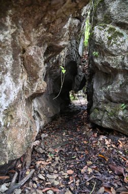 Bau, Malezya - 10 Haziran 2024: Borneo Sarawak Malezya 'nın Paku Rock Maze Bahçesi