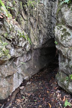 Bau, Malezya - 10 Haziran 2024: Borneo Sarawak Malezya 'nın Paku Rock Maze Bahçesi