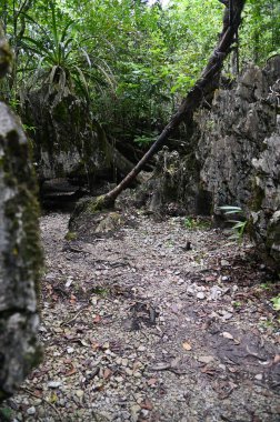 Bau, Malezya - 10 Haziran 2024: Borneo Sarawak Malezya 'nın Paku Rock Maze Bahçesi