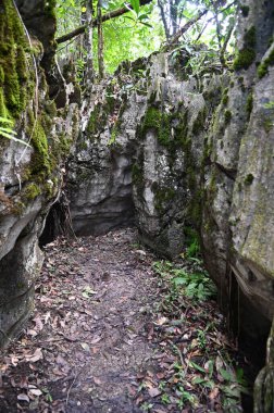 Bau, Malezya - 10 Haziran 2024: Borneo Sarawak Malezya 'nın Paku Rock Maze Bahçesi
