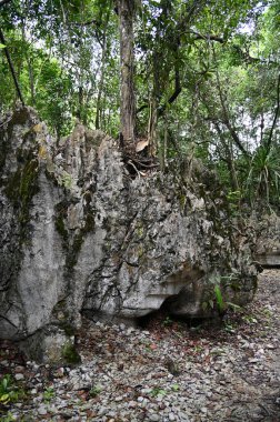 Bau, Malezya - 10 Haziran 2024: Borneo Sarawak Malezya 'nın Paku Rock Maze Bahçesi