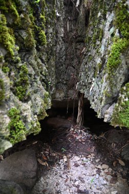 Bau, Malezya - 10 Haziran 2024: Borneo Sarawak Malezya 'nın Paku Rock Maze Bahçesi