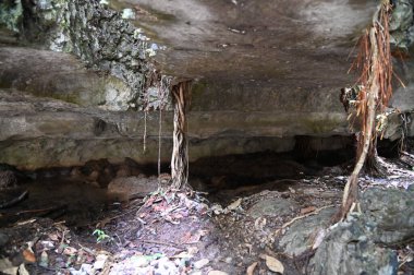 Bau, Malezya - 10 Haziran 2024: Borneo Sarawak Malezya 'nın Paku Rock Maze Bahçesi