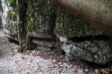 Bau, Malezya - 10 Haziran 2024: Borneo Sarawak Malezya 'nın Paku Rock Maze Bahçesi