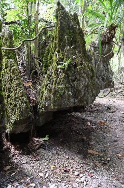 Bau, Malezya - 10 Haziran 2024: Borneo Sarawak Malezya 'nın Paku Rock Maze Bahçesi