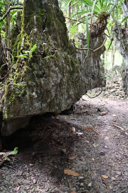 Bau, Malezya - 10 Haziran 2024: Borneo Sarawak Malezya 'nın Paku Rock Maze Bahçesi