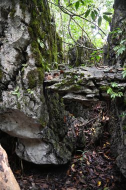 Bau, Malezya - 10 Haziran 2024: Borneo Sarawak Malezya 'nın Paku Rock Maze Bahçesi