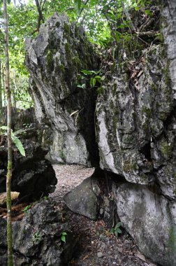 Bau, Malezya - 10 Haziran 2024: Borneo Sarawak Malezya 'nın Paku Rock Maze Bahçesi