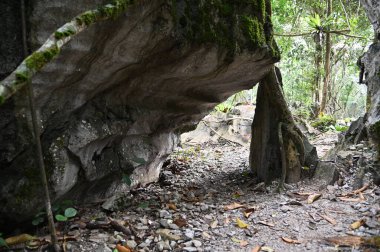 Bau, Malezya - 10 Haziran 2024: Borneo Sarawak Malezya 'nın Paku Rock Maze Bahçesi