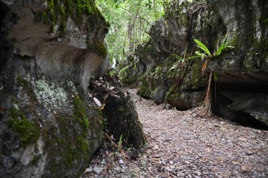 Bau, Malezya - 10 Haziran 2024: Borneo Sarawak Malezya 'nın Paku Rock Maze Bahçesi