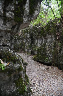 Bau, Malezya - 10 Haziran 2024: Borneo Sarawak Malezya 'nın Paku Rock Maze Bahçesi