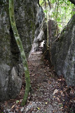 Bau, Malezya - 10 Haziran 2024: Borneo Sarawak Malezya 'nın Paku Rock Maze Bahçesi