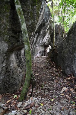 Bau, Malezya - 10 Haziran 2024: Borneo Sarawak Malezya 'nın Paku Rock Maze Bahçesi