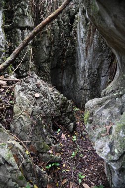 Bau, Malezya - 10 Haziran 2024: Borneo Sarawak Malezya 'nın Paku Rock Maze Bahçesi
