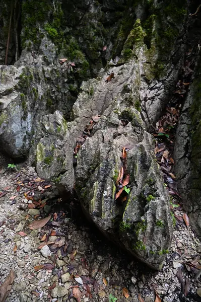 Bau, Malezya - 10 Haziran 2024: Borneo Sarawak Malezya 'nın Paku Rock Maze Bahçesi