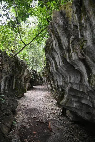 Bau, Malezya - 10 Haziran 2024: Borneo Sarawak Malezya 'nın Paku Rock Maze Bahçesi