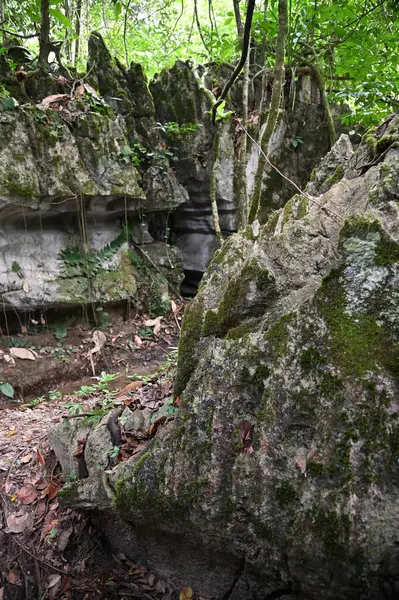 Bau, Malezya - 10 Haziran 2024: Borneo Sarawak Malezya 'nın Paku Rock Maze Bahçesi