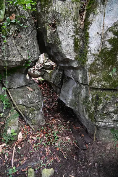 Bau, Malezya - 10 Haziran 2024: Borneo Sarawak Malezya 'nın Paku Rock Maze Bahçesi