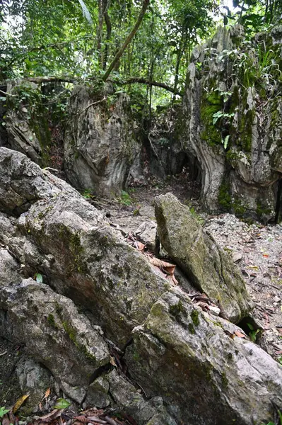 Bau, Malezya - 10 Haziran 2024: Borneo Sarawak Malezya 'nın Paku Rock Maze Bahçesi