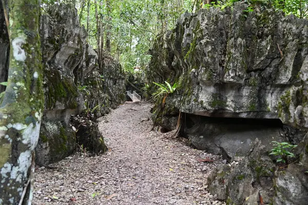 Bau, Malezya - 10 Haziran 2024: Borneo Sarawak Malezya 'nın Paku Rock Maze Bahçesi